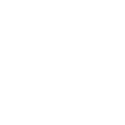NEC logo white